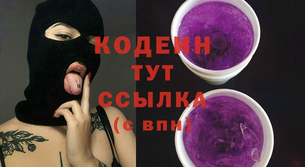 индика Абинск