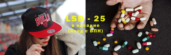 индика Абинск
