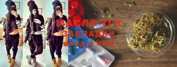 индика Абинск