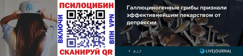 мега ССЫЛКА  Касли  Галлюциногенные грибы Cubensis 